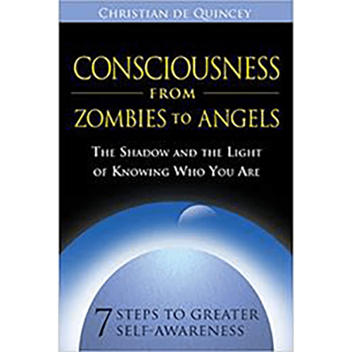 Consciousness from Zombies to Angels: The Shadow and the Light of Knowing Who You Are Paperback